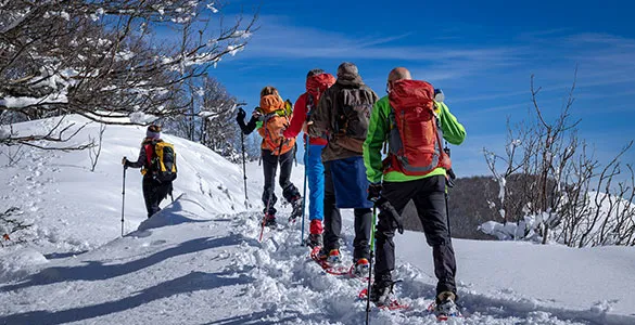 best-winter-escapes-for-rejuvenation-mid-content-5